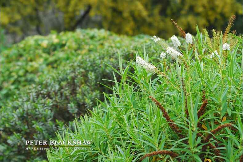 Lot 18/323 Bugden Avenue Fadden Lot 18/323 Bugden Avenue Fadden