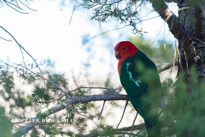 5/18 Yarrow Street Queanbeyan East