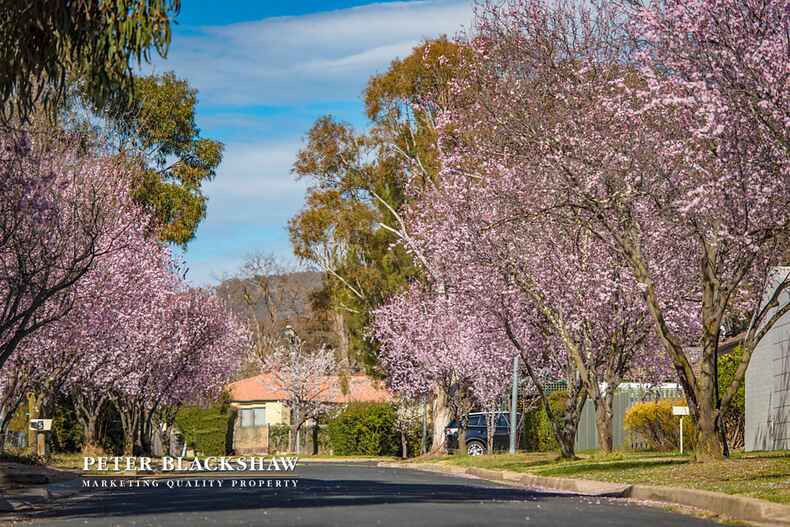 Lot 10/20 Marlee Place Narrabundah Lot 10/20 Marlee Place Narrabundah