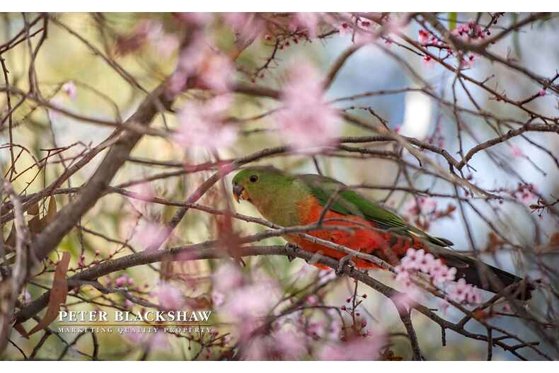 Lot 10/20 Marlee Place Narrabundah Lot 10/20 Marlee Place Narrabundah