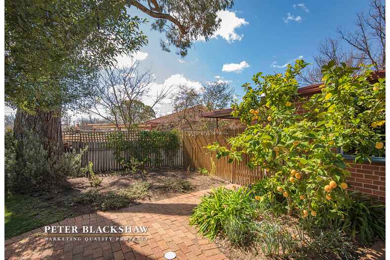 Lot 17/37  Andrews Street Watson