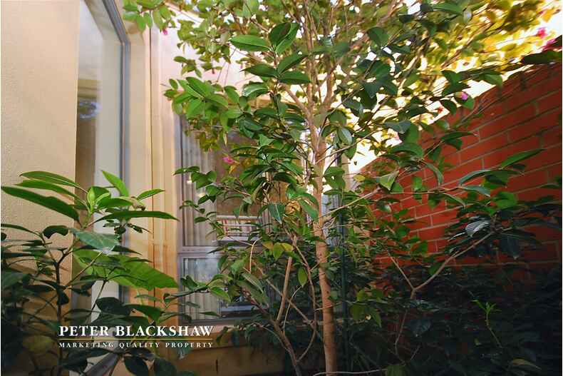 Lot 20/20 Negus Crescent Watson Lot 20/20 Negus Crescent Watson