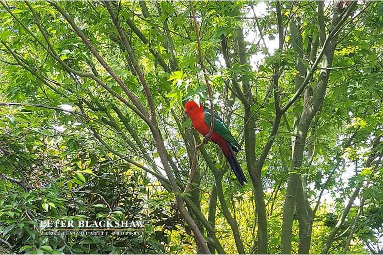 Lot 21/16 Joske Place Latham Lot 21/16 Joske Place Latham