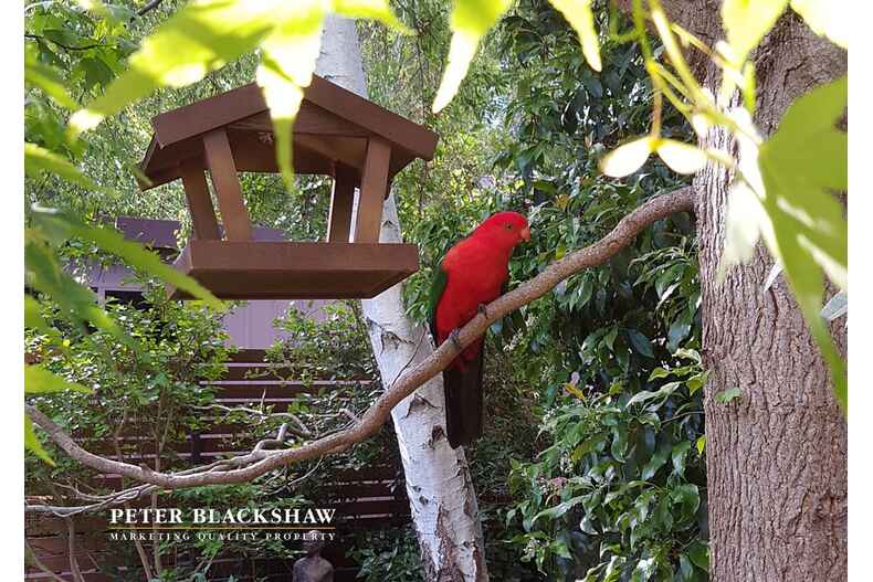 Lot 21/16 Joske Place Latham Lot 21/16 Joske Place Latham