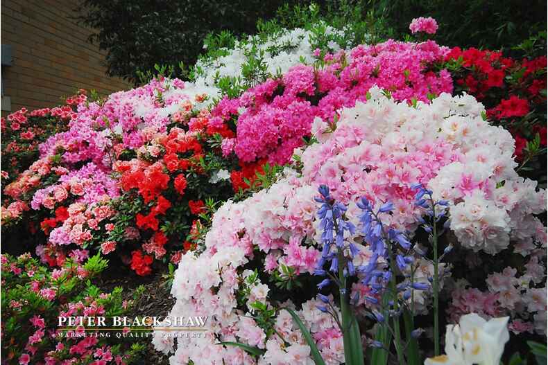 Lot 24/5 Butler Place Campbell Lot 24/5 Butler Place Campbell