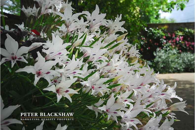 Lot 24/5 Butler Place Campbell Lot 24/5 Butler Place Campbell