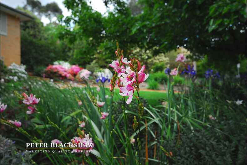 Lot 24/5 Butler Place Campbell Lot 24/5 Butler Place Campbell