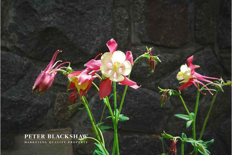 Lot 24/5 Butler Place Campbell Lot 24/5 Butler Place Campbell