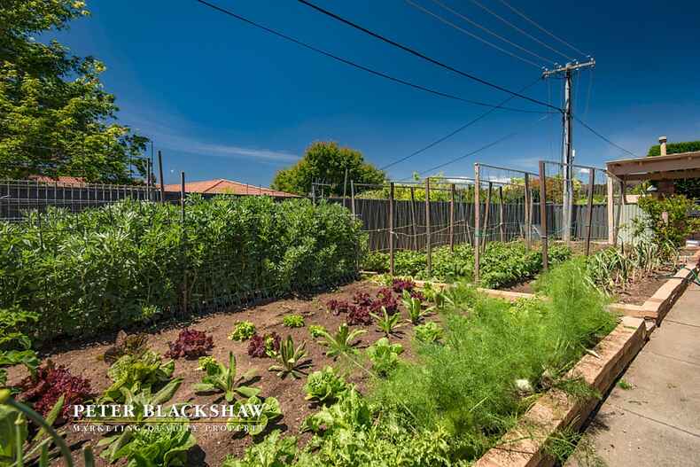 Lot 15/8 McClintock Street Lyneham