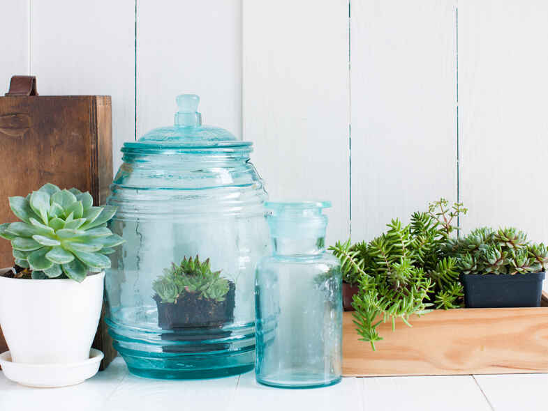 Planting Indoors to a Happy and Healthier Life Planting Indoors to a Happy and Healthier Life