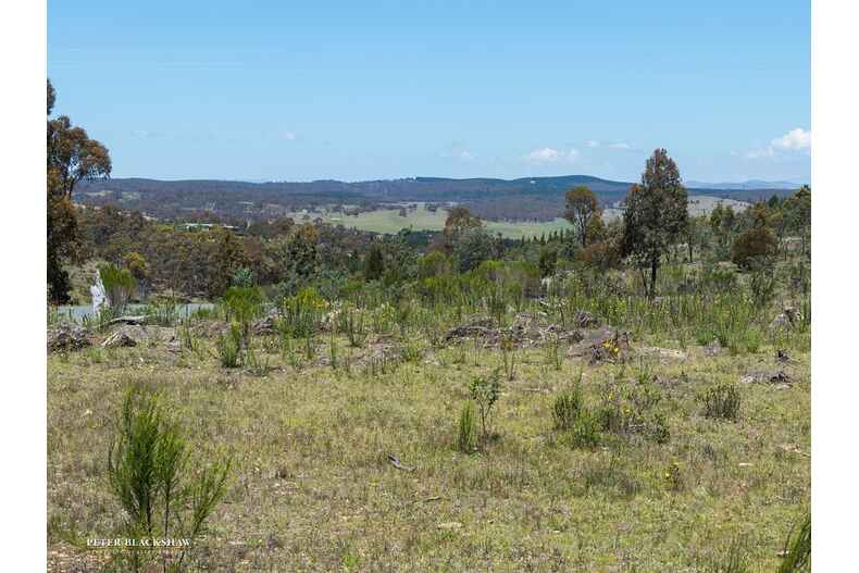 426 Denley Drive Wamboin 426 Denley Drive Wamboin