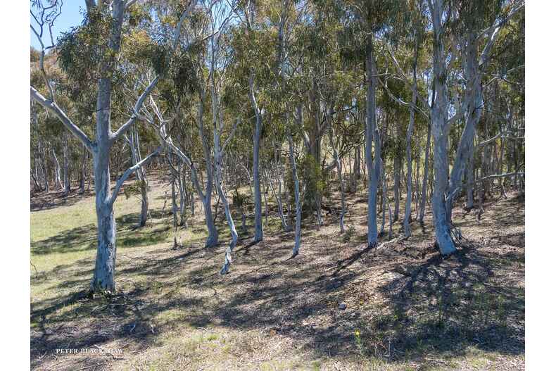 426 Denley Drive Wamboin 426 Denley Drive Wamboin