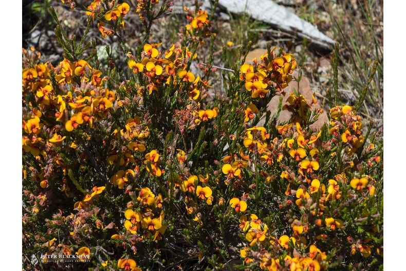 426 Denley Drive Wamboin 426 Denley Drive Wamboin