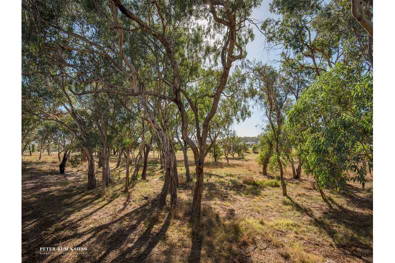 16/29 Muriel Stewart Circuit Bonner 16/29 Muriel Stewart Circuit Bonner