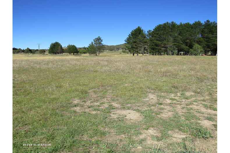 Lot 1/223 Badgery Road Burra Lot 1/223 Badgery Road Burra