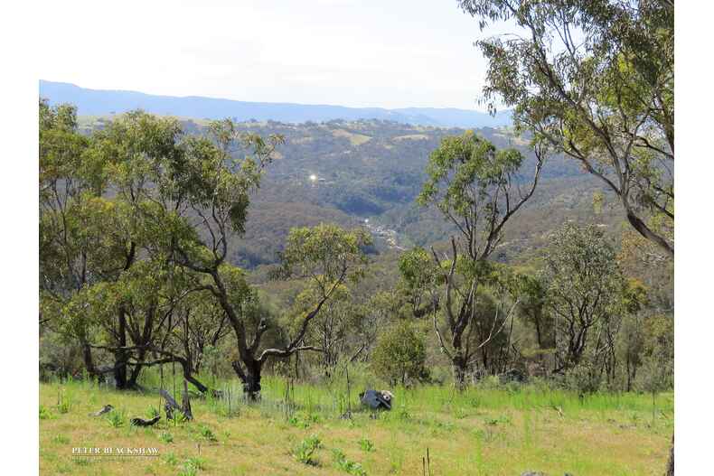 Lot 1/1808 Smiths Road Clear Range Lot 1/1808 Smiths Road Clear Range