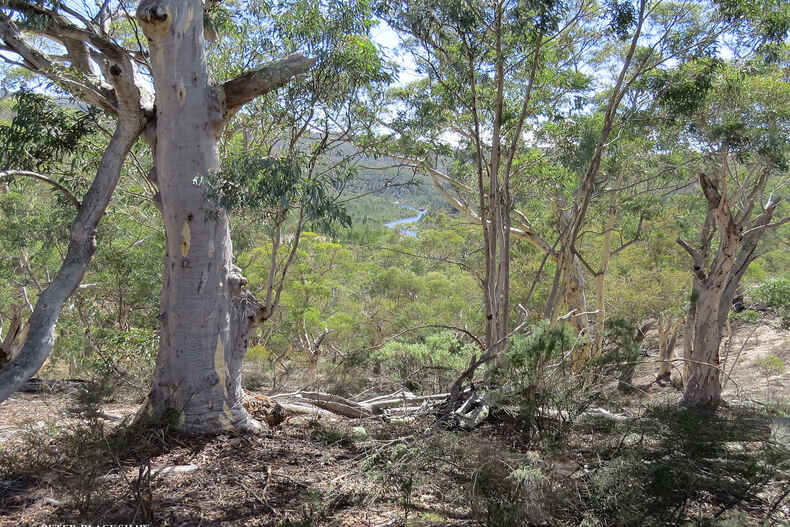 2107 Smiths Road Clear Range