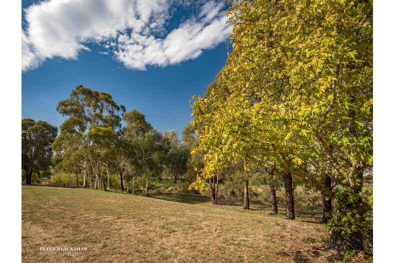 Lot 1/9/43 Kirkland Circuit Macgregor Lot 1/9/43 Kirkland Circuit Macgregor