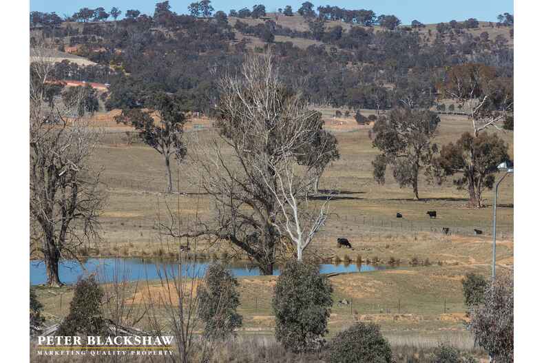 Lot 1/8/21 Thunder Circuit Harrison Lot 1/8/21 Thunder Circuit Harrison