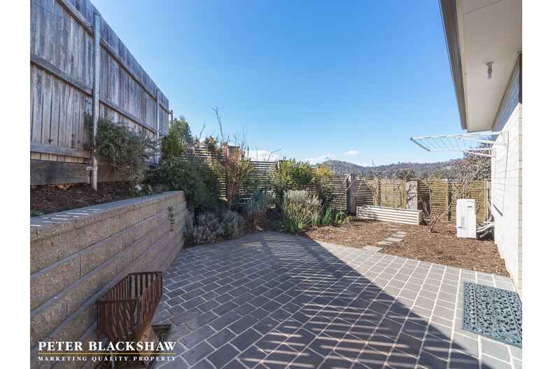 Lot 1/8/21 Thunder Circuit Harrison Lot 1/8/21 Thunder Circuit Harrison