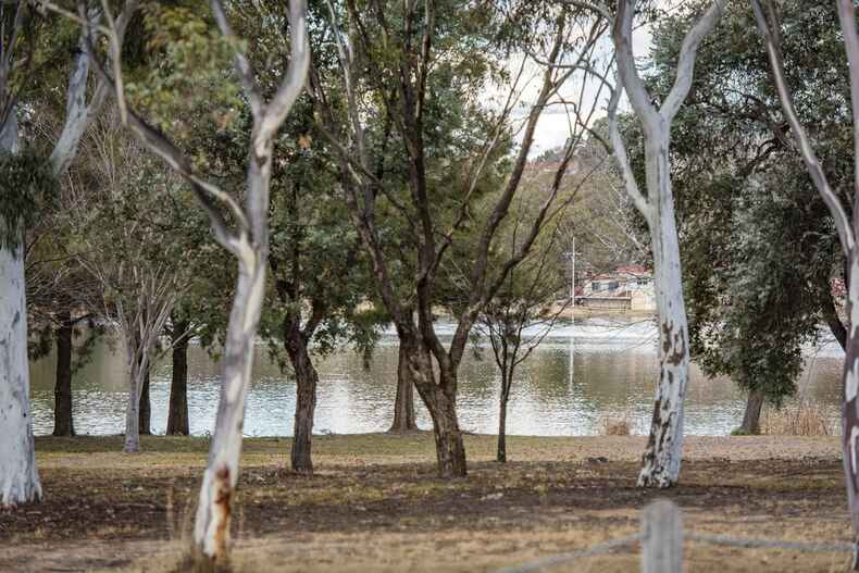 62 Florence Taylor Street Greenway 62 Florence Taylor Street Greenway