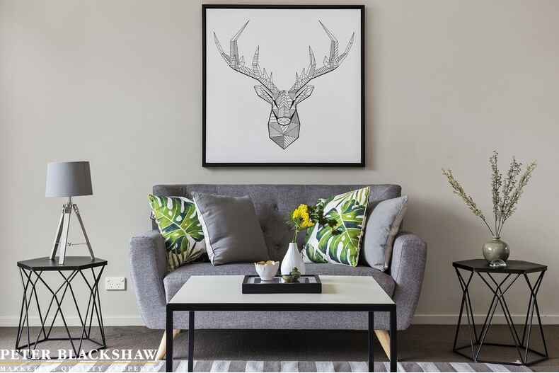 20 Paget Street Bruce