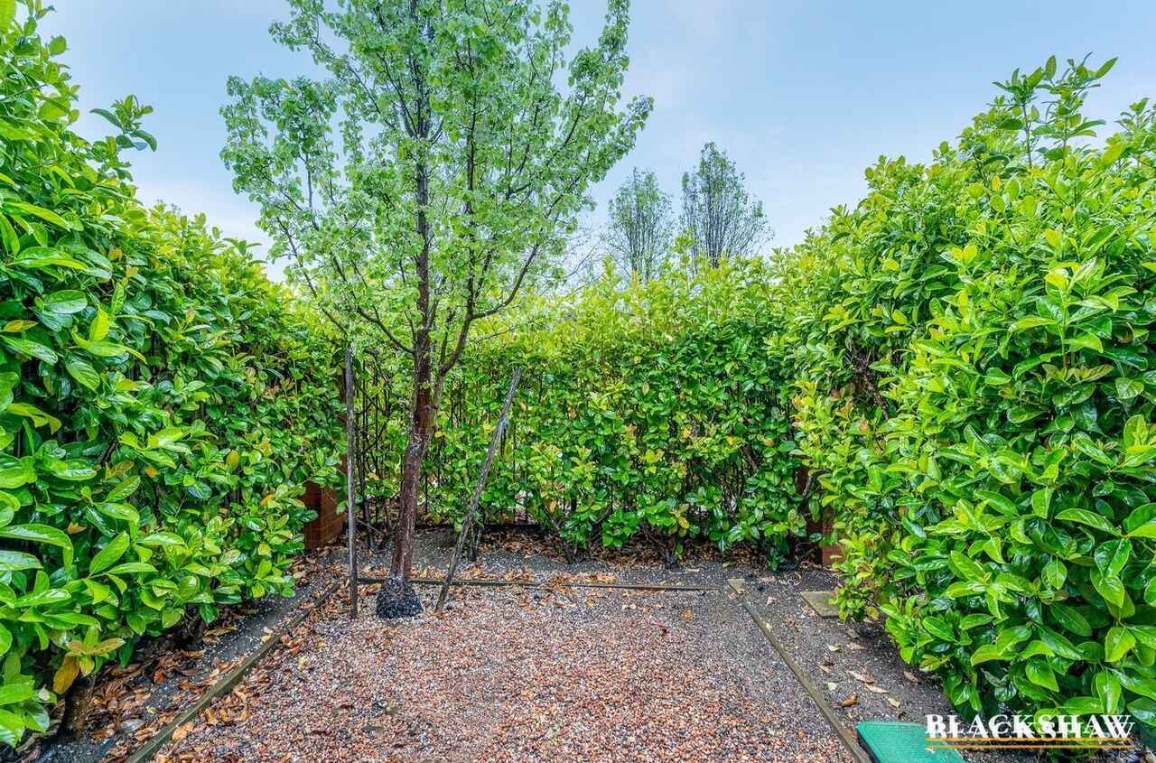 10/10 Charles Perkins Circuit Bonner