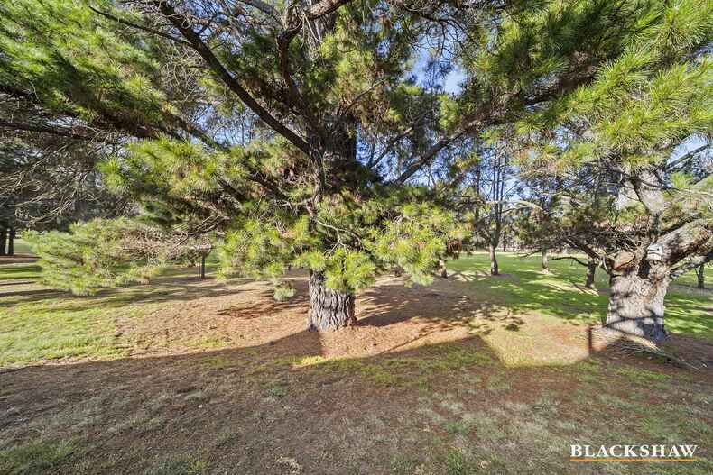 159/50 Ellenborough Street Lyneham 159/50 Ellenborough Street Lyneham