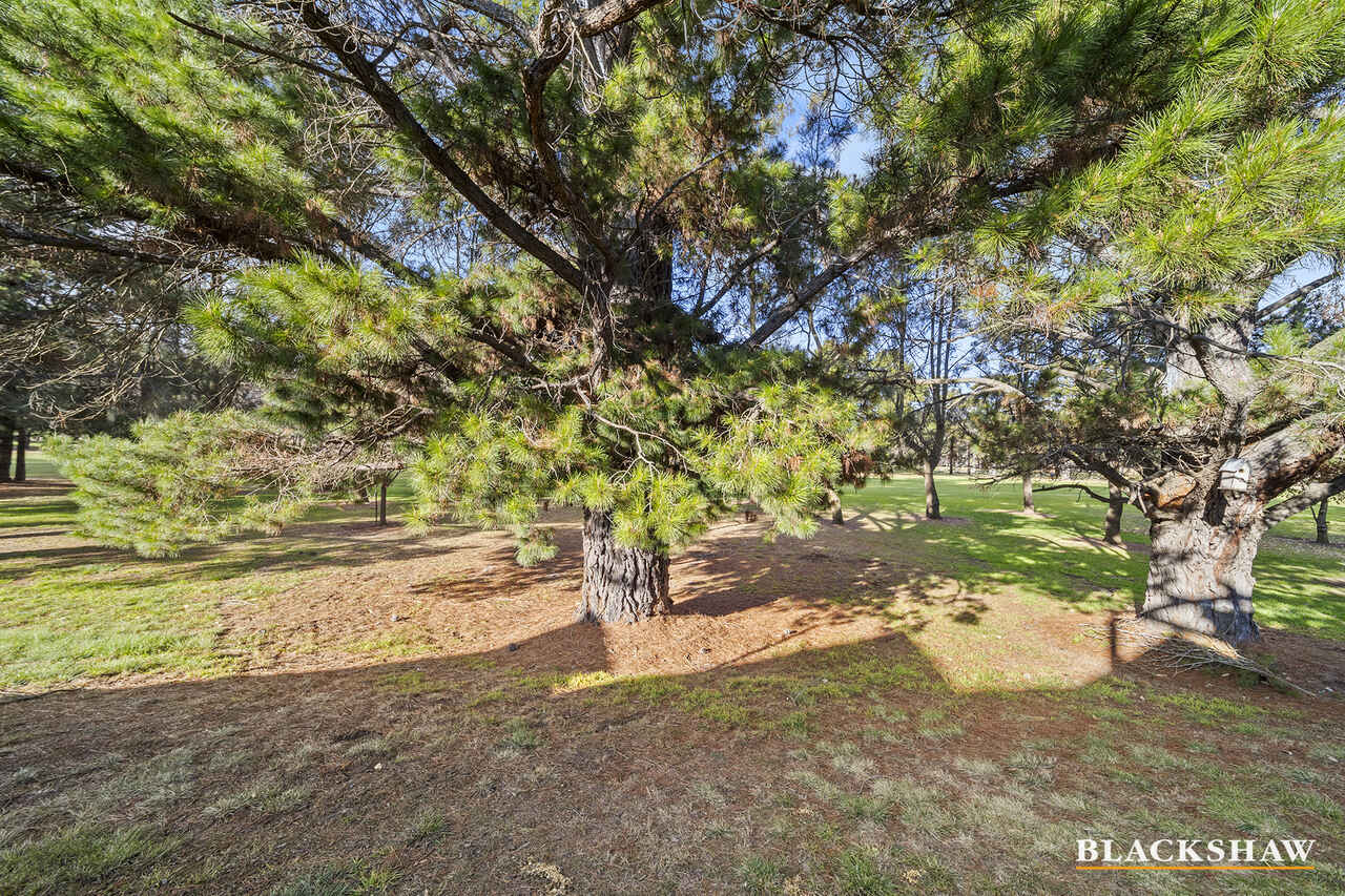 159/50 Ellenborough Street Lyneham