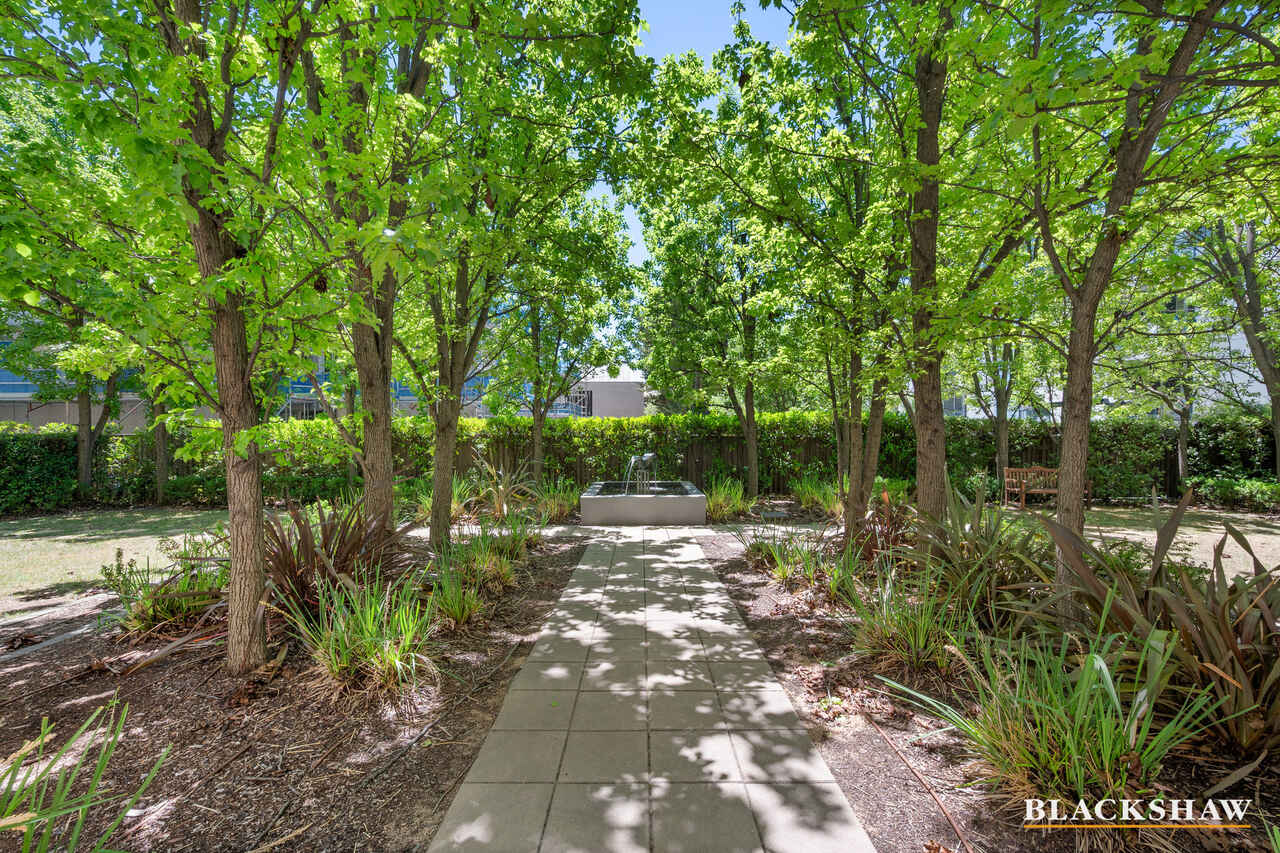 21/27 Cunningham Street Kingston