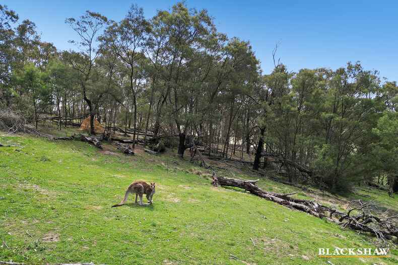 114 Cherry Tree Lane Bungendore