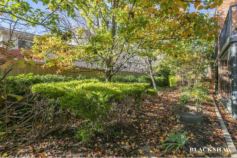 51/19 Ijong Street Braddon 51/19 Ijong Street Braddon