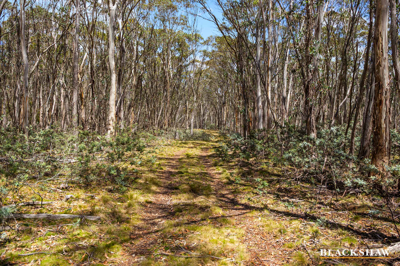 Lot 18+19 Calabash Road Tinderry