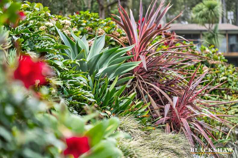 31 Endeavour Avenue Lilli Pilli