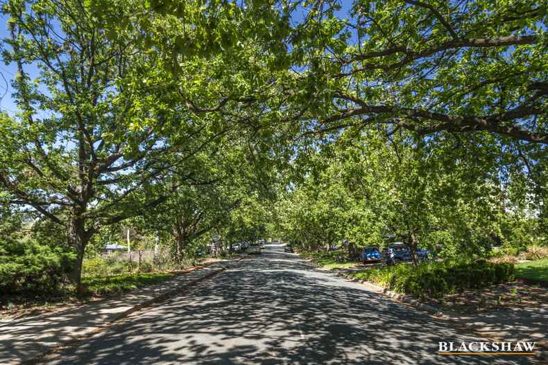 44 Mackennal Street Lyneham