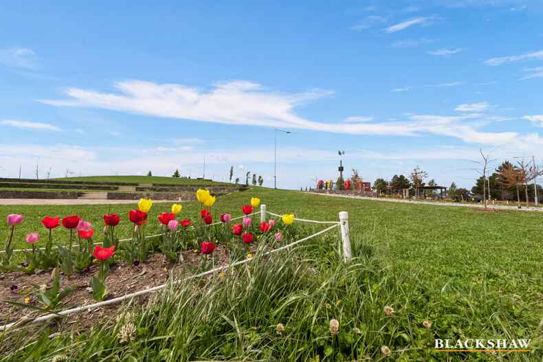 36/1 Skuta Place Denman Prospect 36/1 Skuta Place Denman Prospect