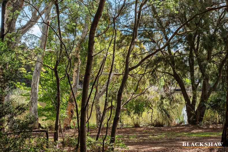 unit 1/1 Eardley Street  Bruce