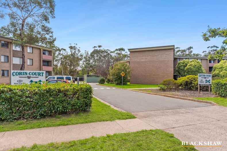53C/58 Wattle Street Lyneham