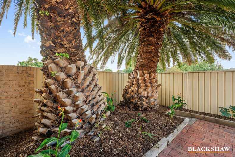 19/166 Clive Steele Avenue Monash 19/166 Clive Steele Avenue Monash