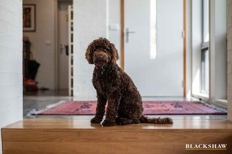 34 Miller Street O'Connor