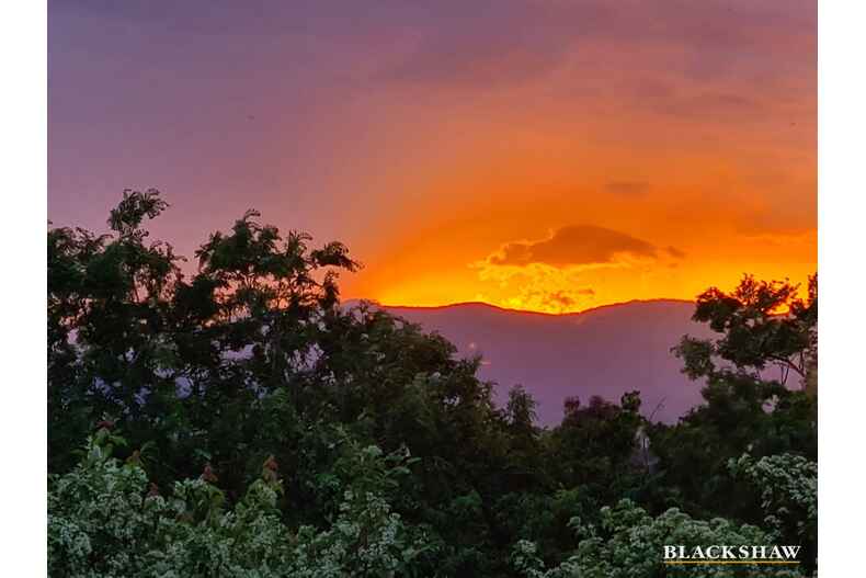 11 Rechner Place Flynn