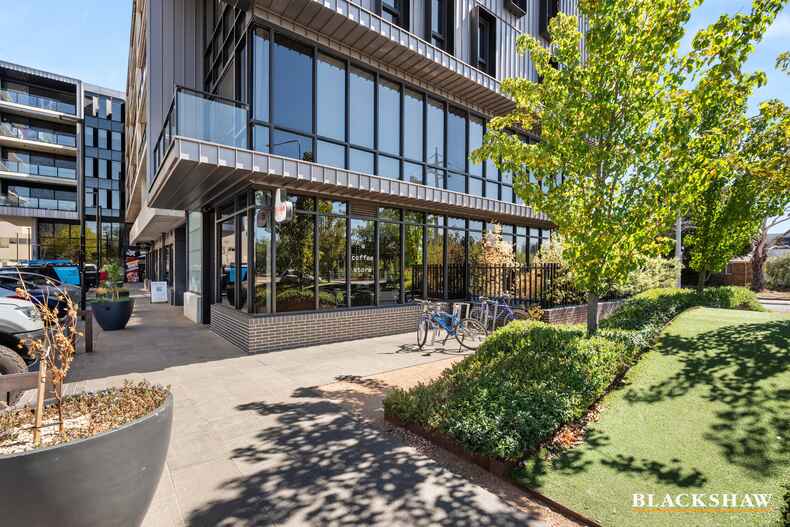 24/2 David Street Turner