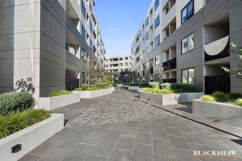 Level 2/213/34 Oakden Street Greenway