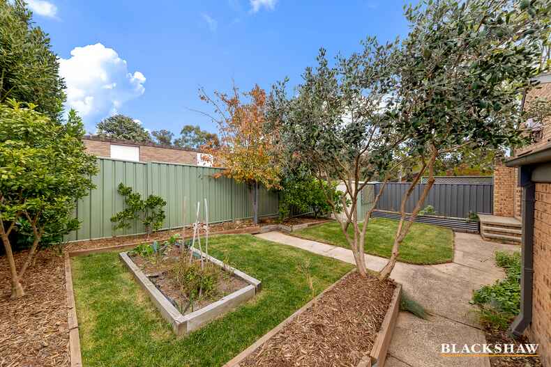 11 MacFarlan Place Latham 11 MacFarlan Place Latham