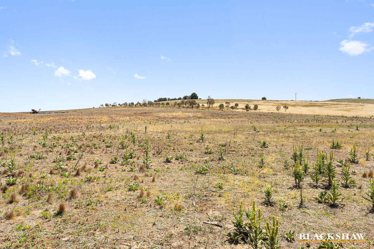 51 Speargrass Lane Michelago