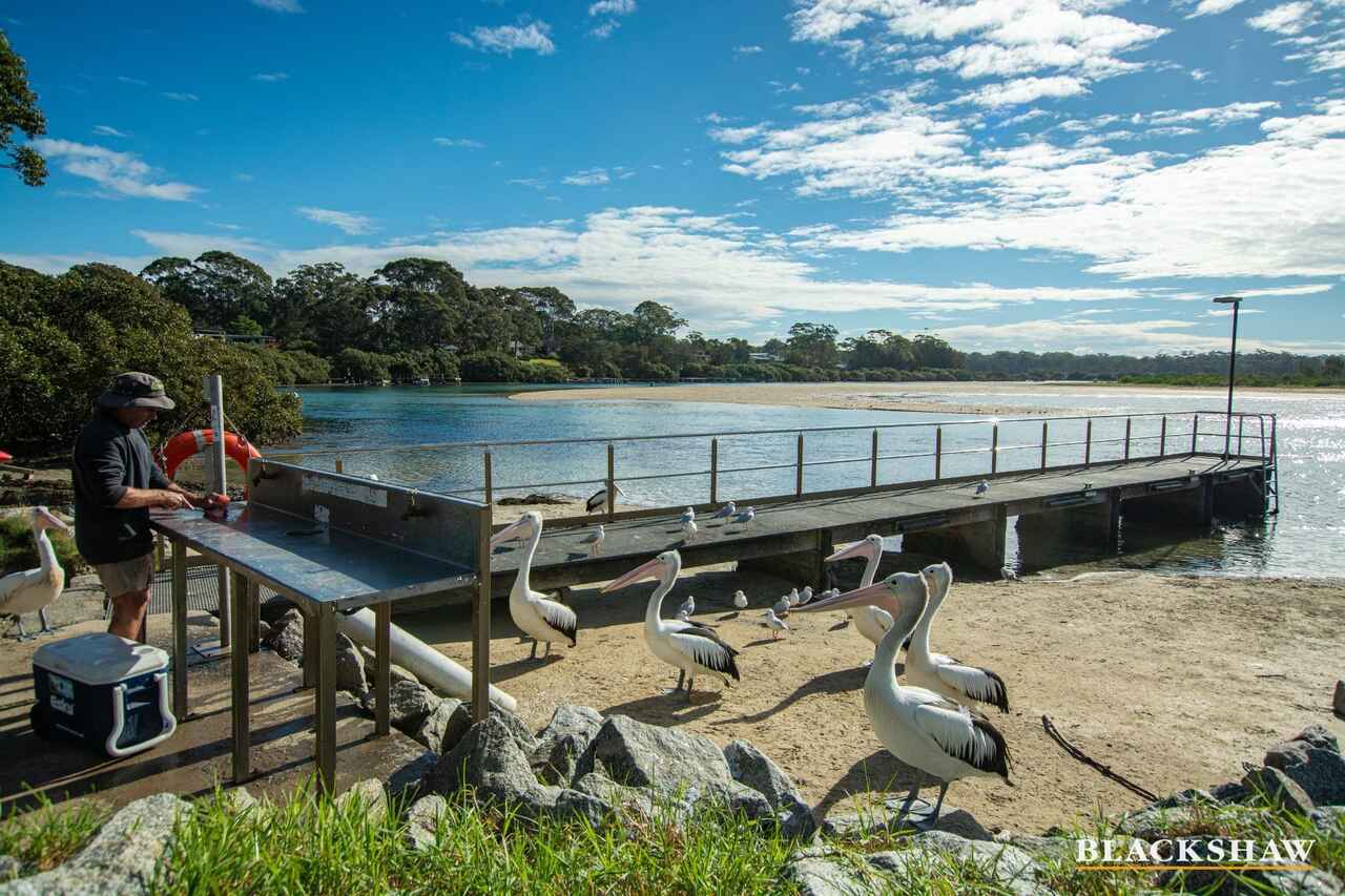 15 Pacific Street Broulee