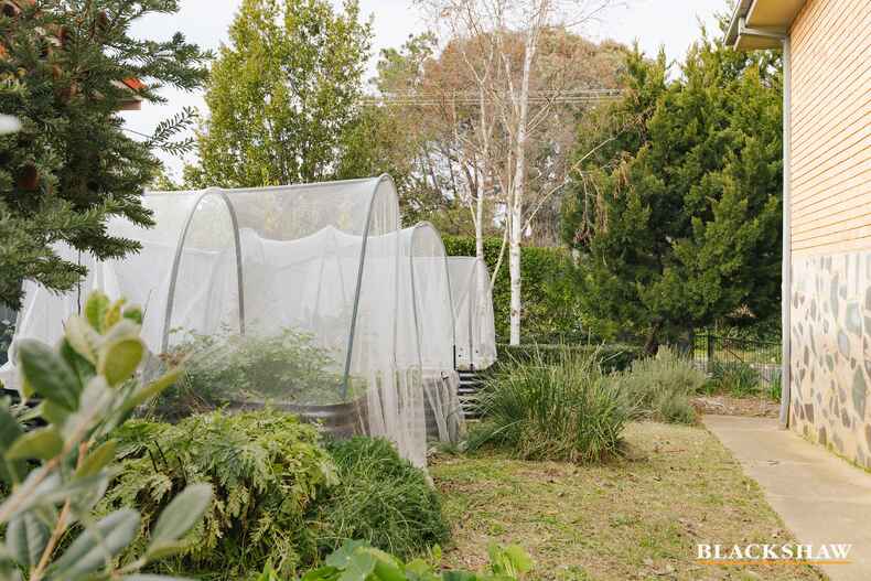 42 Thorpe Avenue Queanbeyan 42 Thorpe Avenue Queanbeyan