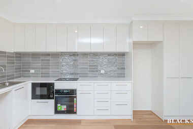 61B Pademelon Street Throsby 61B Pademelon Street Throsby