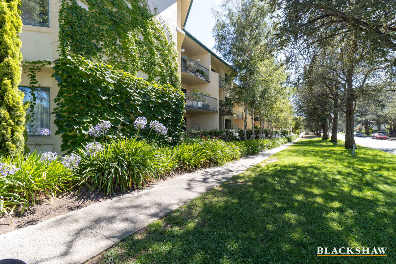 221/15 Jardine Street Kingston