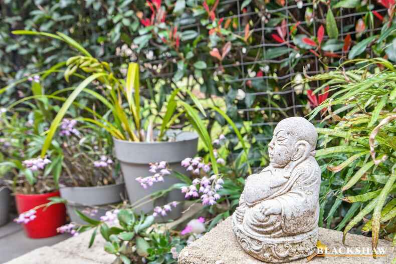 13b Angophora Place Catalina